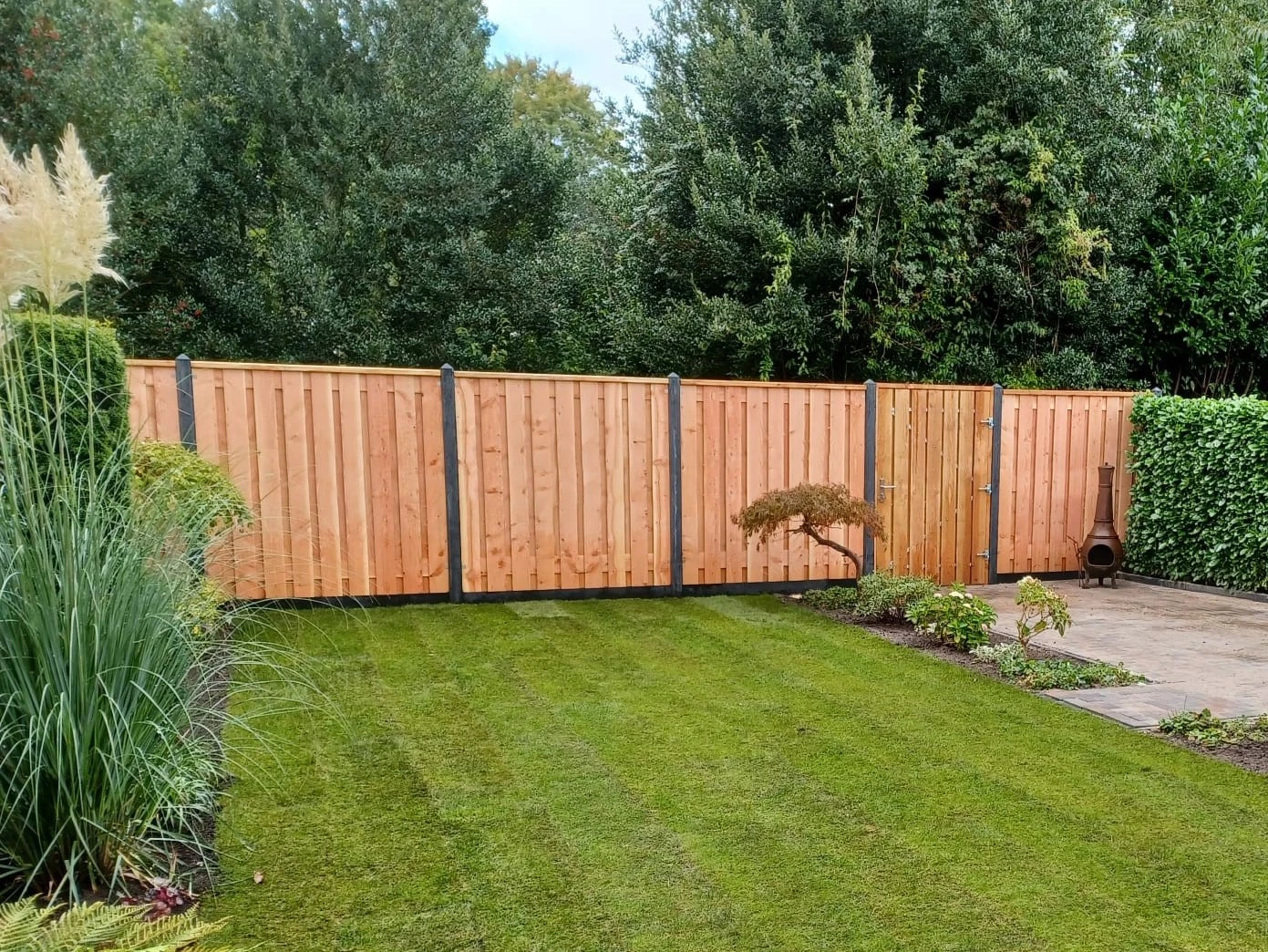 Douglas Schutting 21-planks Fijnbezaagd 180 x 180 cm - Afbeelding 4